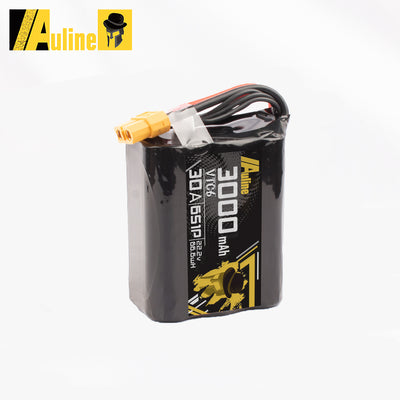 VTC6 3000mAh 6S 22.2v 30A XT60