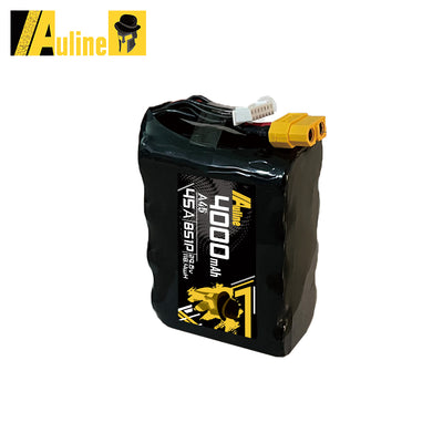 21700 A45 4000MAH 8S 29.6V 45A XT60